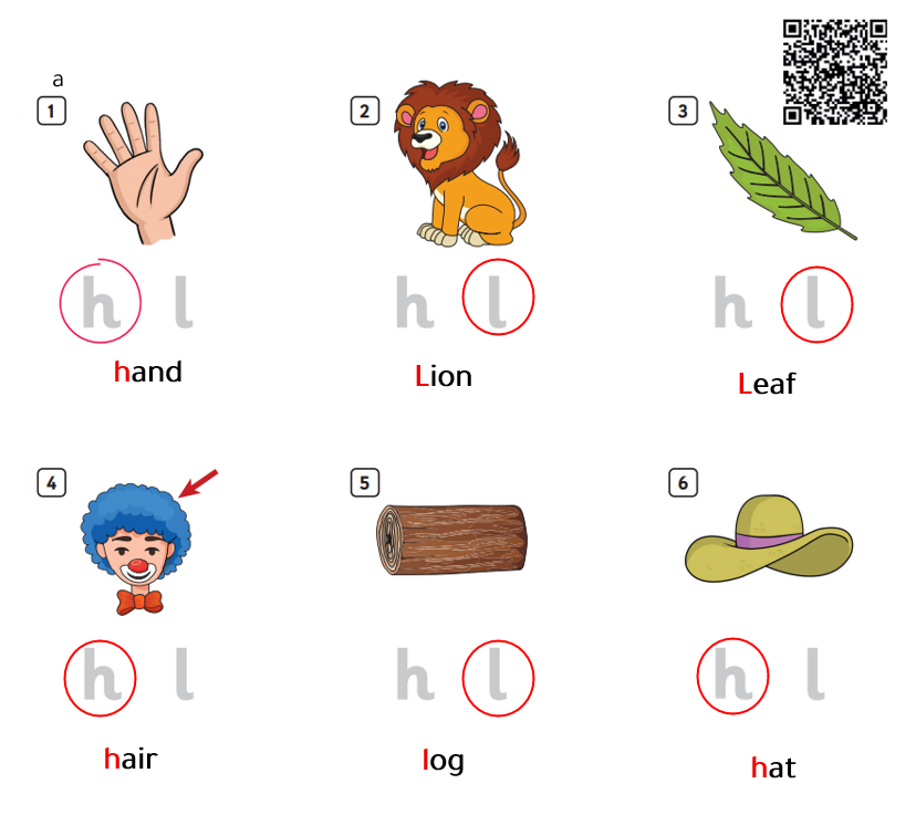 hat log hair leaf lion hand